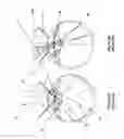 Fig. 06 - Wide-field retinal imaging system