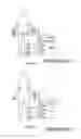 Fig. 02 - Apparatus for obtaining cardiovascular information by measuring between two extremities