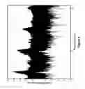 Fig. 07 - User identification via motion and heartbeat waveform data