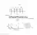 Fig. 03 - Biological state determining method and apparatus