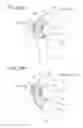 Fig. 03 - Method and device for ultrasonic diagnosis