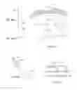 Fig. 28 - System for intra-abdominally moving an organ