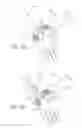 Fig. 13 - Methods for thread transection of a soft tissue