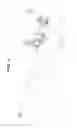 Fig. 05 - TREATMENT INSTRUMENT INSERTION ASSISTING TOOL
