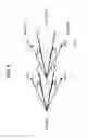 Fig. 10 - TREATMENT INSTRUMENT INSERTION ASSISTING TOOL