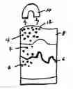 Fig. 01 - REVERSIBLE TATTOO COLORANT AND METHOD