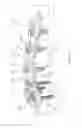Fig. 02 - System and method for minimally invasive clavicle plate application