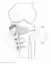 Fig. 01 - Fixing tool for open-wedge high tibial osteotomy