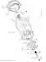 Fig. 02 - Bidirectional ramped disposable torque limiting device