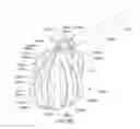 Fig. 20 - Enhanced medical device for use in bodily cavities, for example an atrium