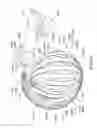 Fig. 29 - Enhanced medical device for use in bodily cavities, for example an atrium