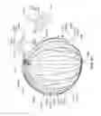 Fig. 33 - Enhanced medical device for use in bodily cavities, for example an atrium