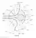Fig. 52 - Enhanced medical device for use in bodily cavities, for example an atrium