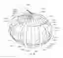 Fig. 53 - Enhanced medical device for use in bodily cavities, for example an atrium