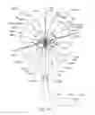 Fig. 59 - Enhanced medical device for use in bodily cavities, for example an atrium