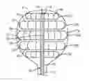 Fig. 01 - Systems and methods for mapping and ablation in the bladder