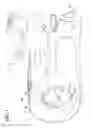 Fig. 02 - Cardiac pulsed field ablation