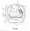 Fig. 61 - Systems and methods for treating the heart with ablation
