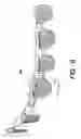 Fig. 07 - Orthodontic retention components, kit and system