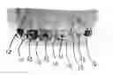 Fig. 01 - Decorative covers for dental braces