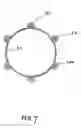 Fig. 10 - Flexible stretch stent-graft
