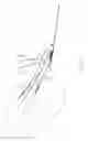Fig. 18 - Transosseous suture anchor method