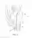 Fig. 03 - Internal brace for tissue repairs and reinforcements