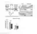 Fig. 07 - Prosthesis for in vivo insertion, coated with cross-linked polyphosphorylcholine