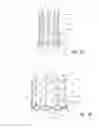 Fig. 03 - Vascular implant and delivery system
