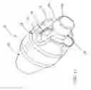 Fig. 08 - Stent valve, delivery apparatus and method therefor