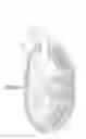Fig. 04 - Method of retroperitoneal lateral insertion of spinal implants