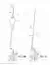 Fig. 05 - Method of retroperitoneal lateral insertion of spinal implants