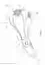 Fig. 03 - DEVICE FOR COOLING AND HEATING THE NECK