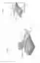 Fig. 16 - Apparatuses and methods for negative pressure wound therapy