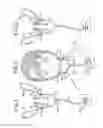 Fig. 02 - Oral mouthpiece and method for the use thereof