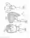 Fig. 03 - Oral mouthpiece and method for the use thereof