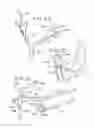 Fig. 13 - Oral mouthpiece and method for the use thereof
