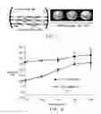 Fig. 02 - Compositions and methods for delivery of kinase inhibiting peptides