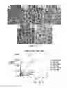 Fig. 04 - Compositions and methods for delivery of kinase inhibiting peptides