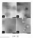 Fig. 08 - Compositions and methods for delivery of kinase inhibiting peptides