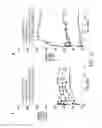 Fig. 09 - Compositions and methods for delivery of kinase inhibiting peptides