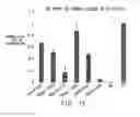 Fig. 10 - Compositions and methods for delivery of kinase inhibiting peptides