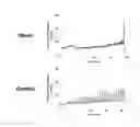 Fig. 02 - Detrusor hyperactivity with impaired contractility ameliorating agent