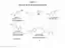Fig. 02 - Method of treating pain using an acetaminophen dimer ether-linked through phenolic hydroxyl groups