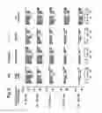 Fig. 07 - DOPAMINERGIC MIMETICS