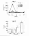 Fig. 09 - DOPAMINERGIC MIMETICS