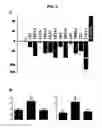 Fig. 05 - Use of derivatives of polyunsaturated fatty acids as medicaments