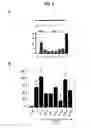 Fig. 06 - Use of derivatives of polyunsaturated fatty acids as medicaments
