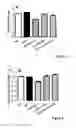 Fig. 04 - Compositions for improved body composition