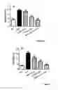 Fig. 05 - Compositions for improved body composition